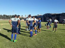 El canalla, puro trabajo