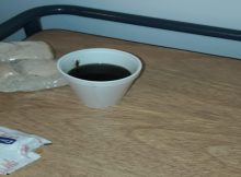 Plaga de cucarachas en el Hospital Thompson