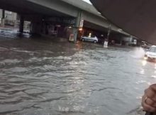 Lo que el agua se llevó