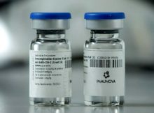 Suero equino: en octubre se conocerán los resultados de las pruebas experimentales en pacientes