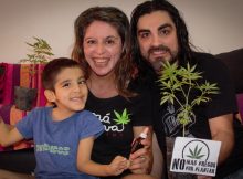 «El tratamiento que mejoró la calidad de vida de mi hijo, ya no es ilegal»