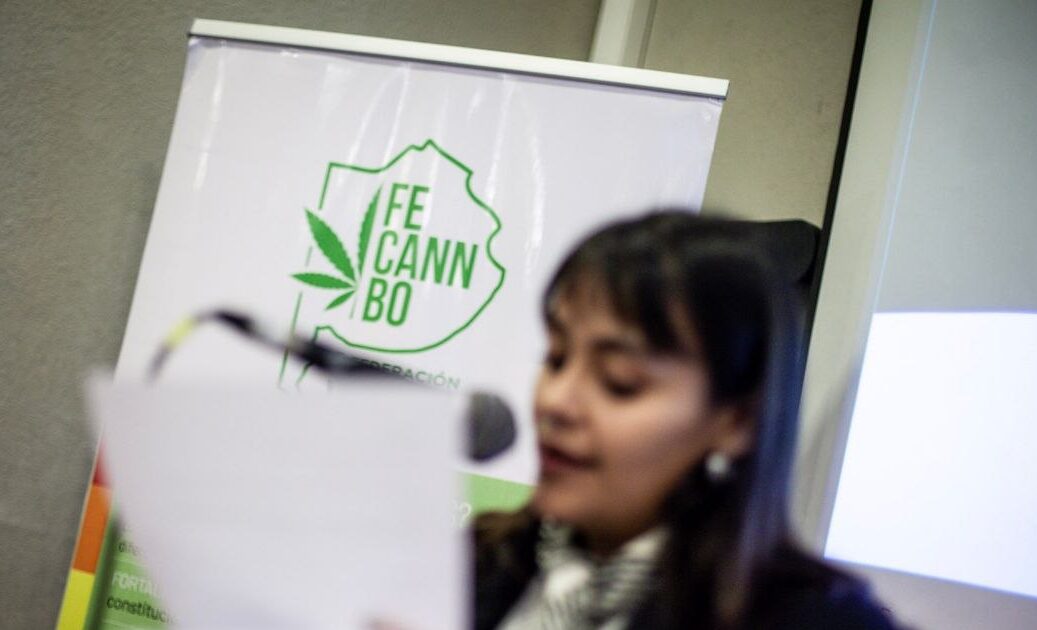 HACIA UN CONGRESO BONAERENSE DE COOPERATIVAS CANNÁBICAS
